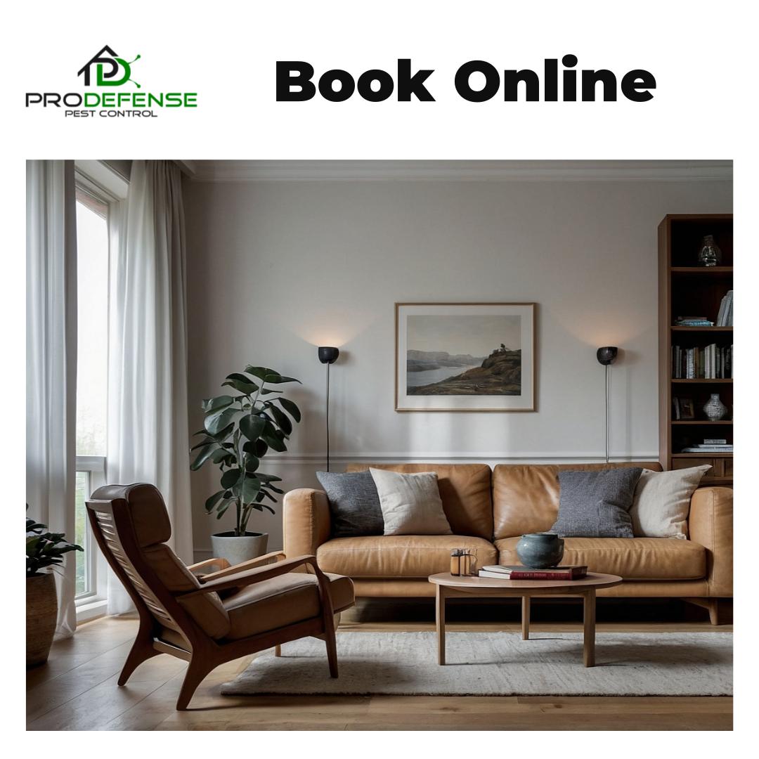 How Often Should You Schedule Termite Inspections in San Antonio?